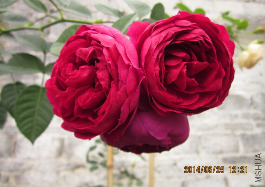 QQͼƬ20140625151546.jpg