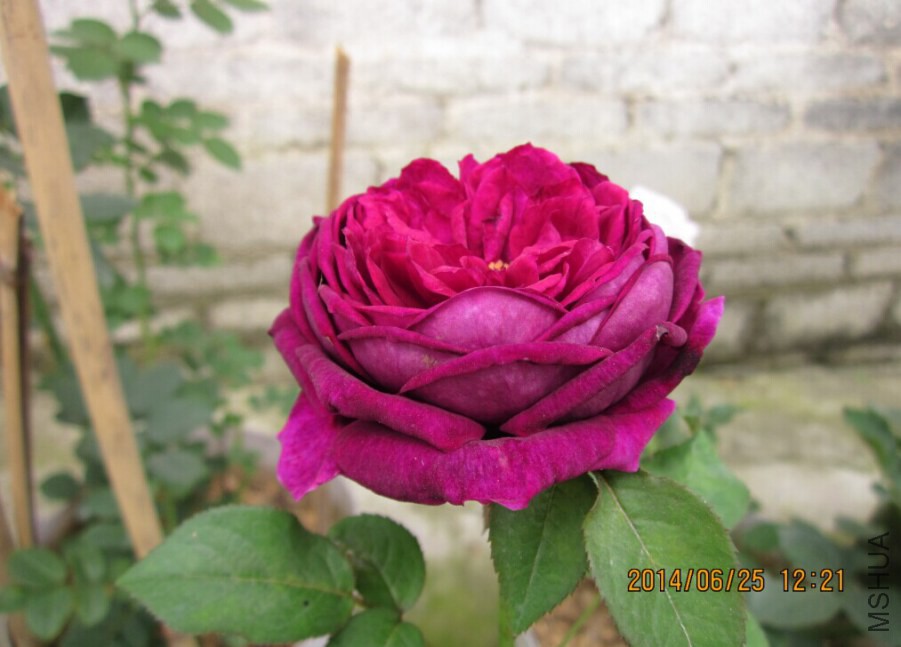 QQͼƬ20140625151550.jpg