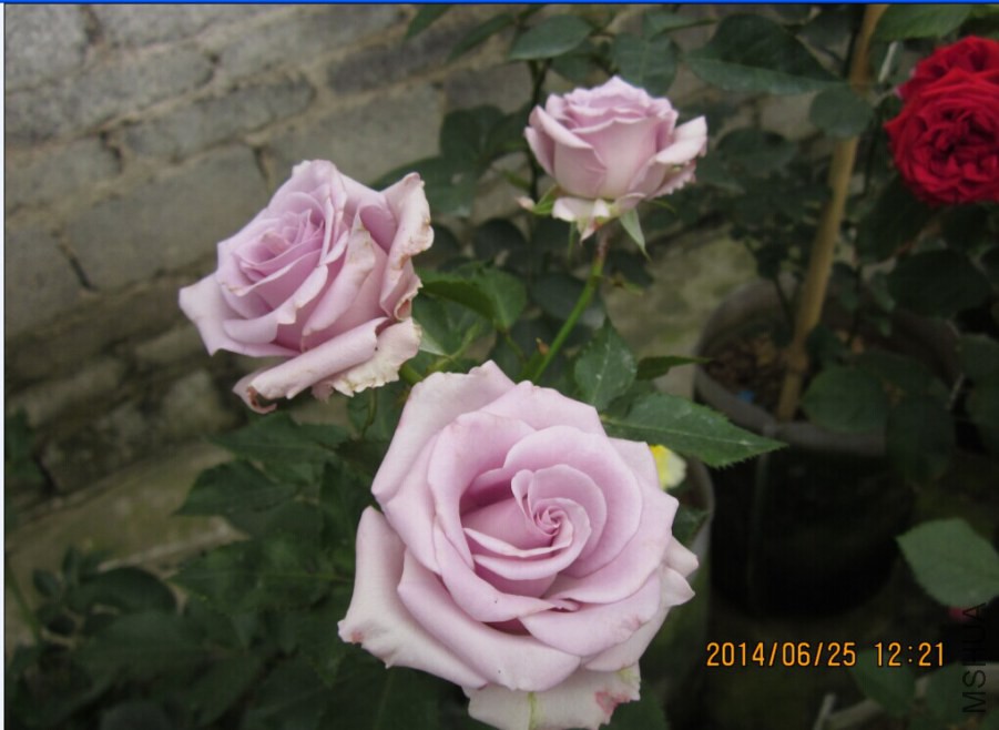 QQͼƬ20140625151553.jpg