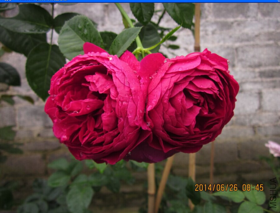 QQͼƬ20140625151610.jpg