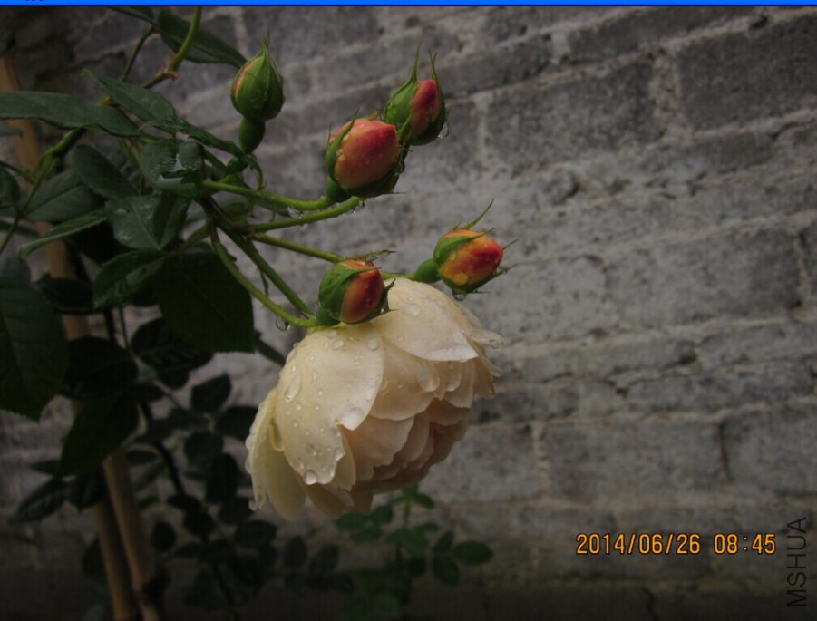 QQͼƬ20140625151613.jpg
