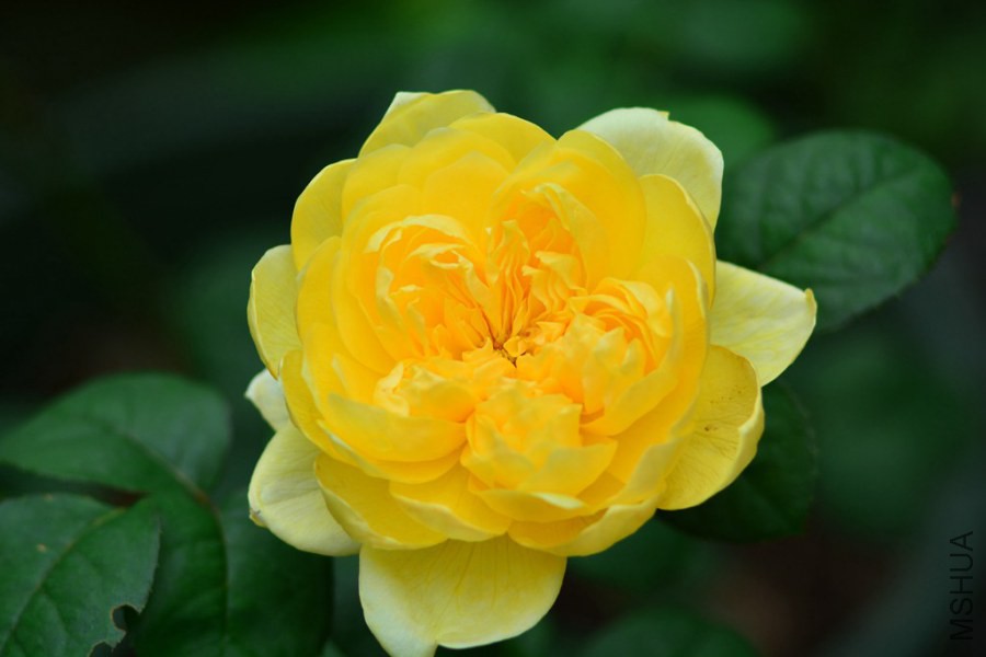 DSC_1469.jpg