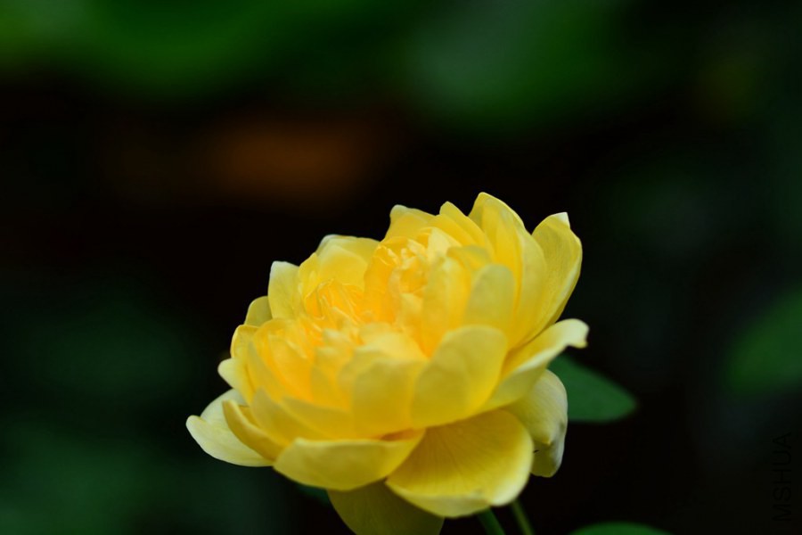 DSC_1472.jpg
