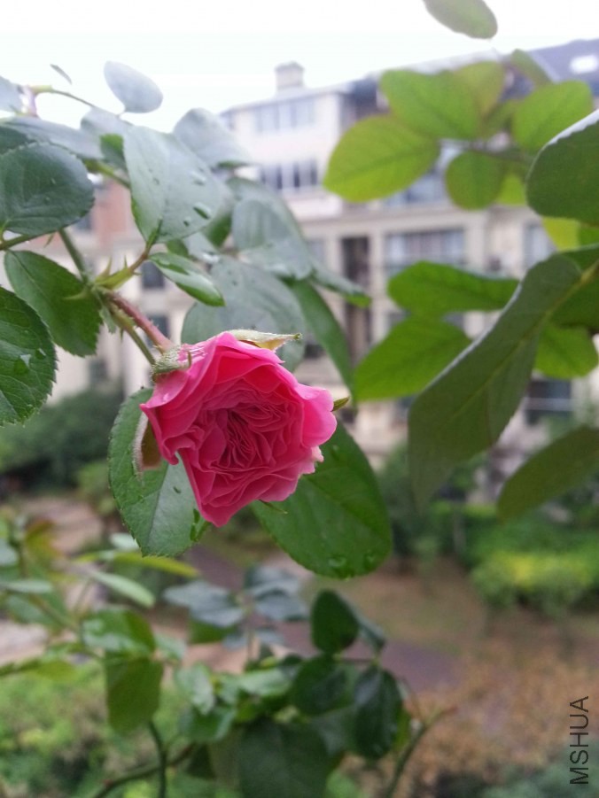 20140625_182106.jpg