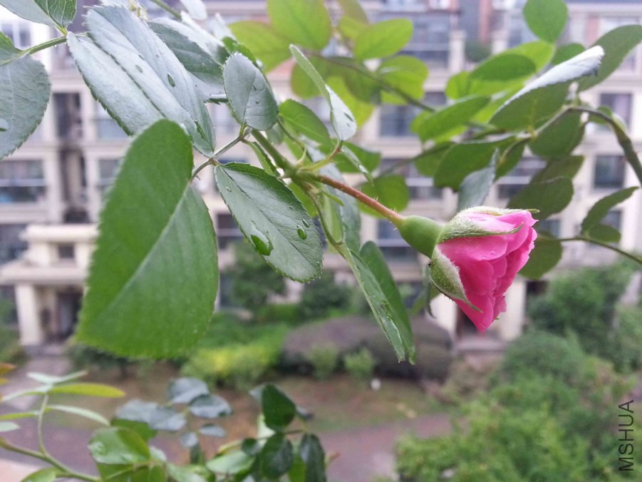 20140625_182141.jpg