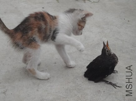 è��1.jpg