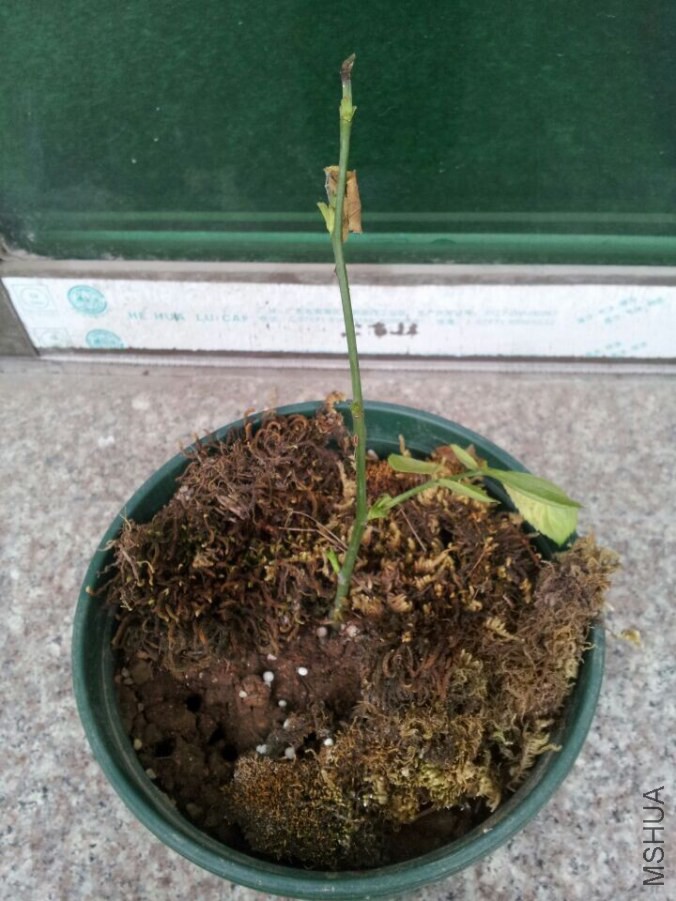 QQͼƬ20140627084356.jpg