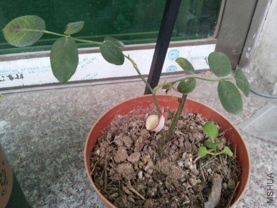 QQͼƬ20140627084412.jpg