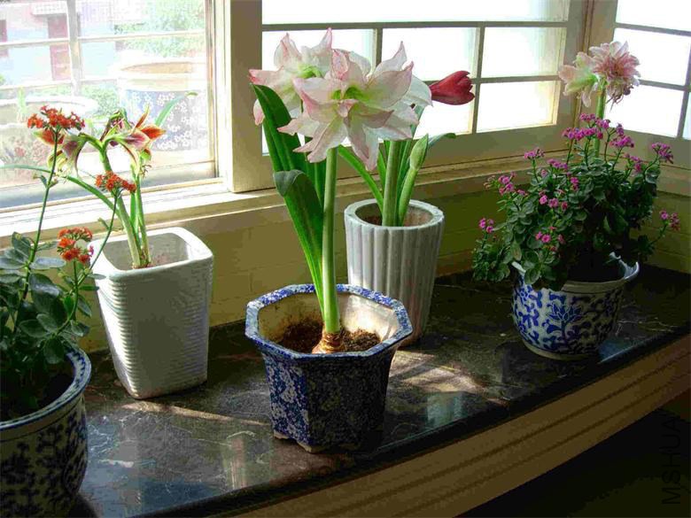 201061615154719.jpg