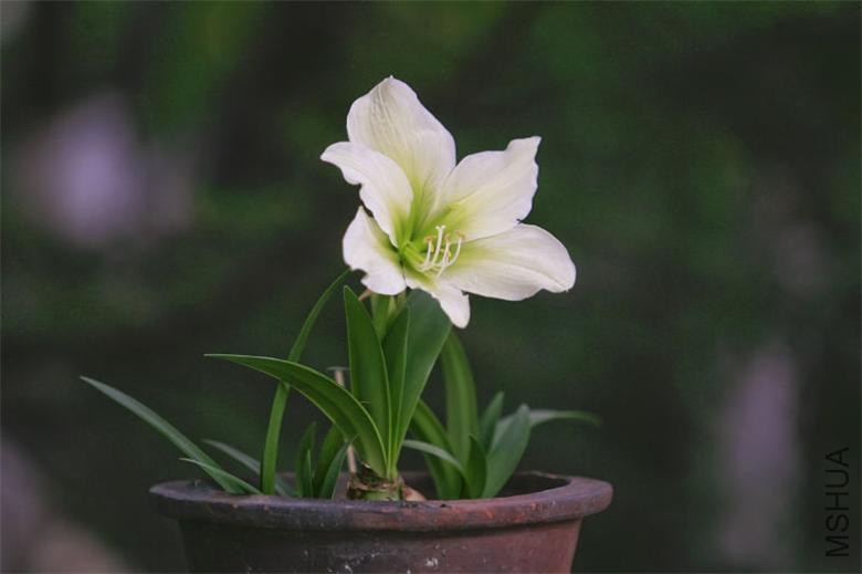 20110505105638967.jpg