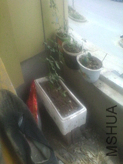 1403847626860.jpg