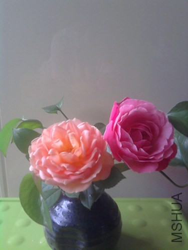 ��Ƭ0444.jpg