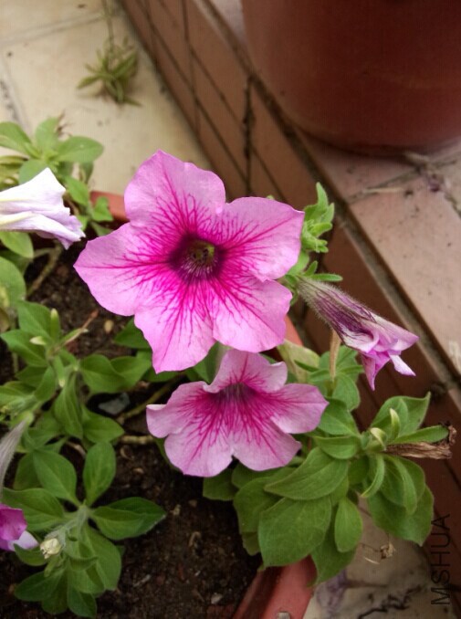 QQͼƬ20140627155037.jpg