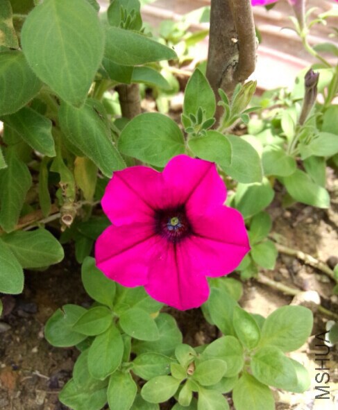 QQͼƬ20140627155311.jpg