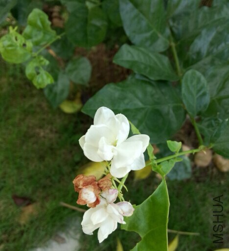 QQͼƬ20140627155348.jpg