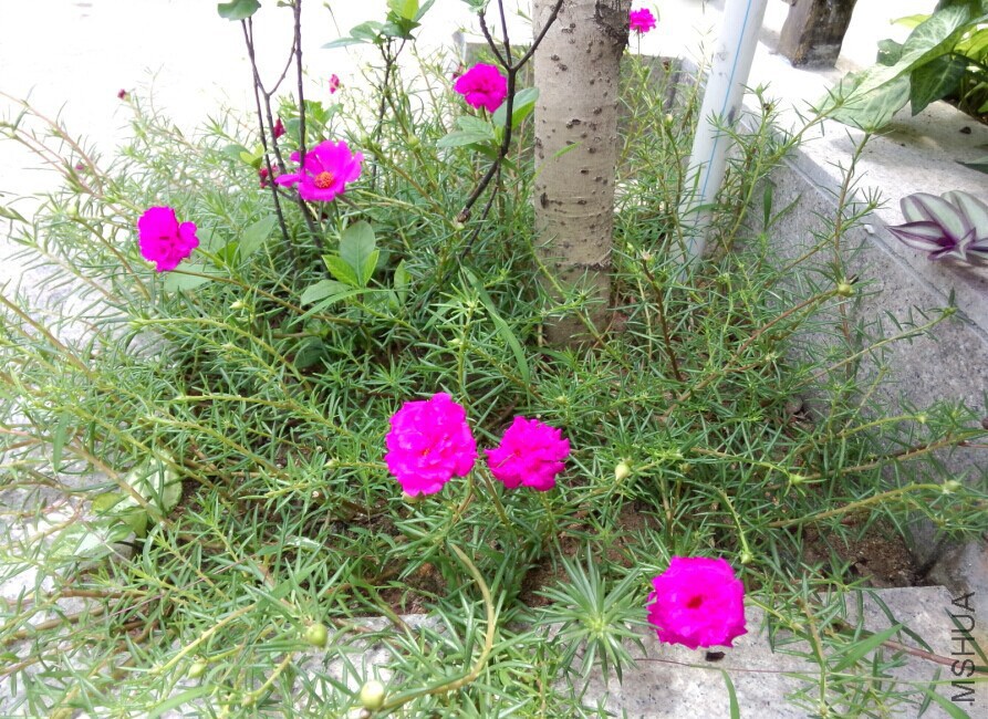 QQͼƬ20140627155451.jpg