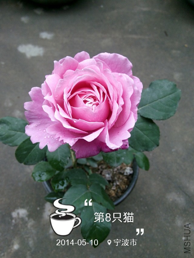 psbCAFL48QU.jpg