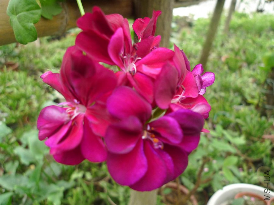 P1000046.JPG