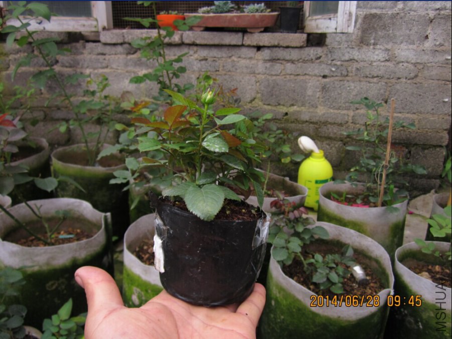QQͼƬ20140627102949.jpg