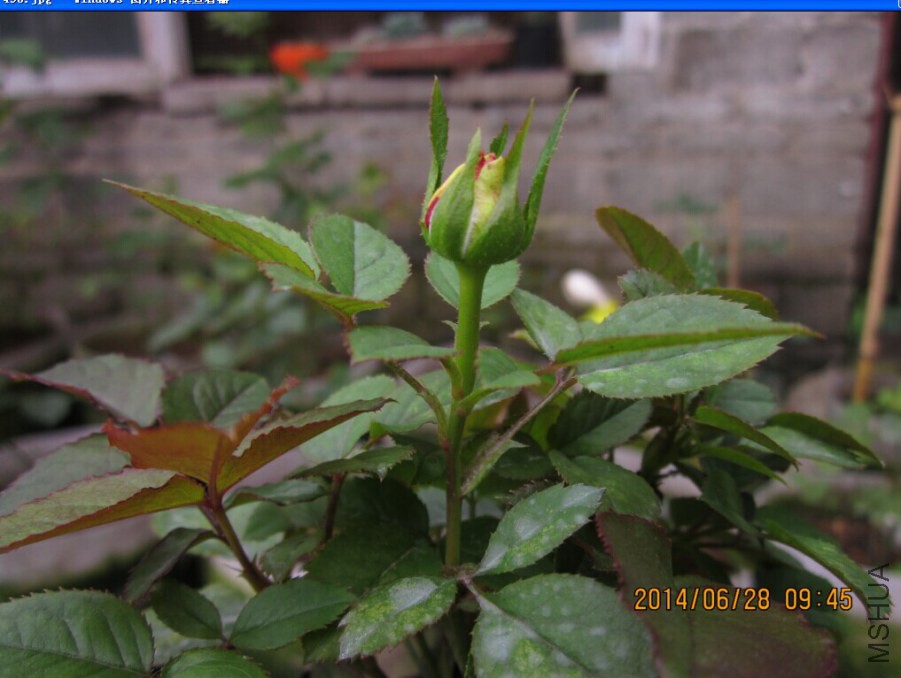QQͼƬ20140627102957.jpg