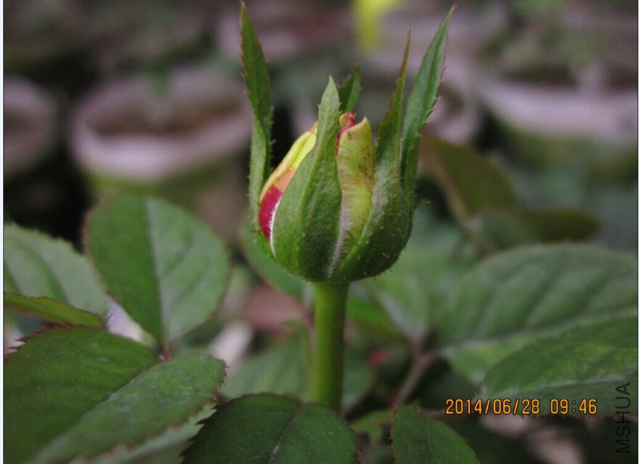 QQͼƬ20140627103000.jpg