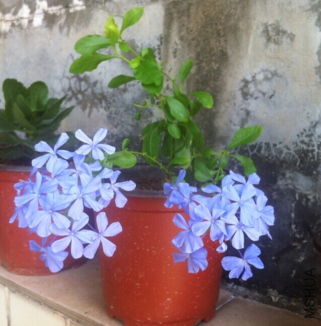 QQͼƬ20140628202544.jpg