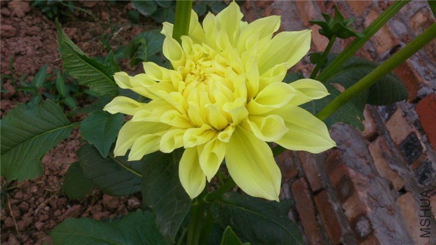 DSC_1087.jpg
