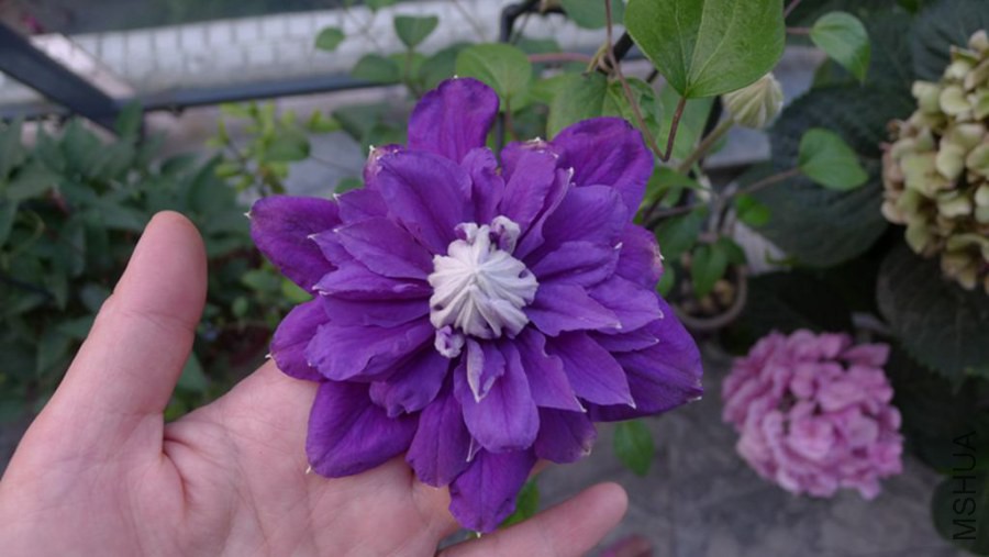 �ٴο���2