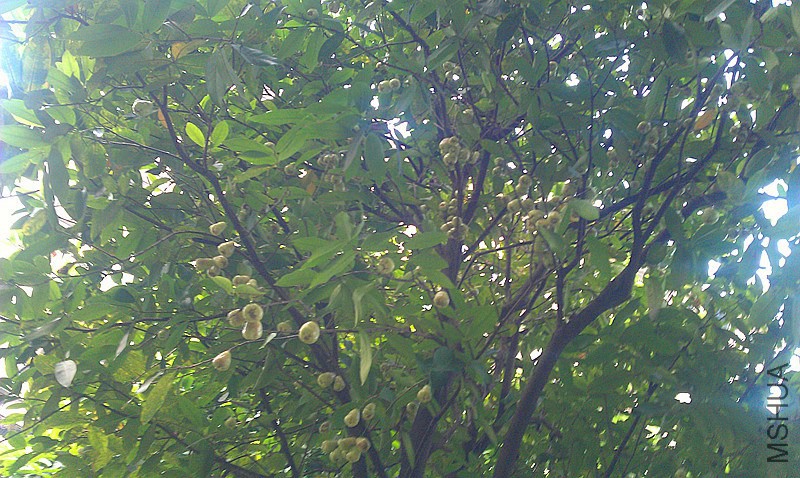 IMAG0710_����.jpg