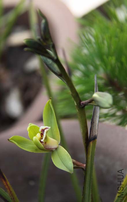 CS_0012.JPG