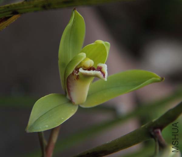 CS_0013.JPG