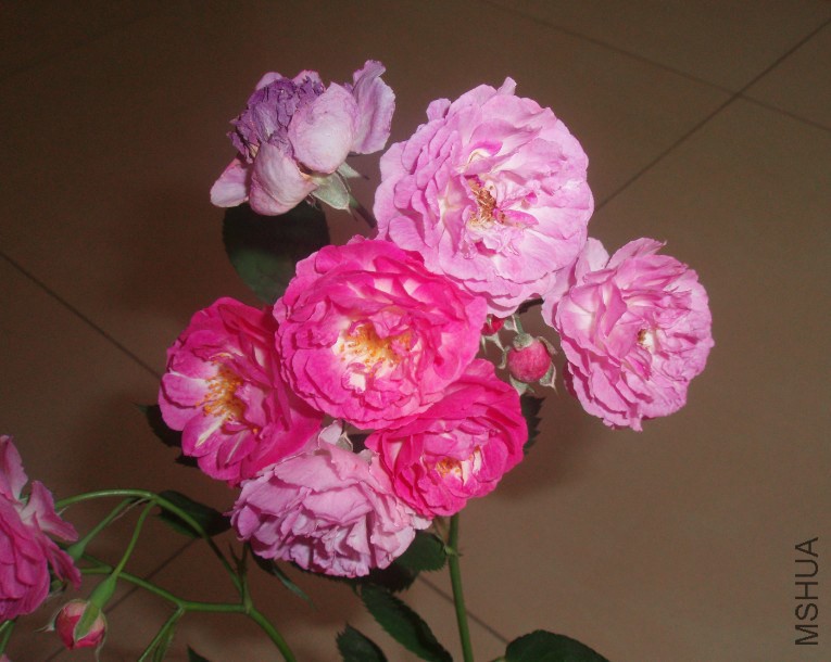 Ǿޱ1.jpg