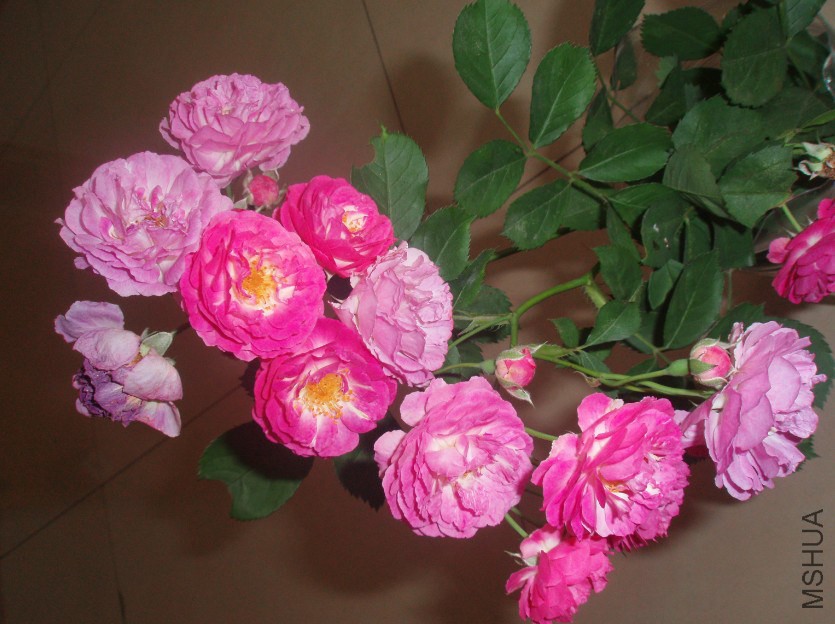 Ǿޱ2.jpg