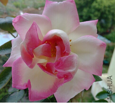 QQͼƬ20140629165732.jpg