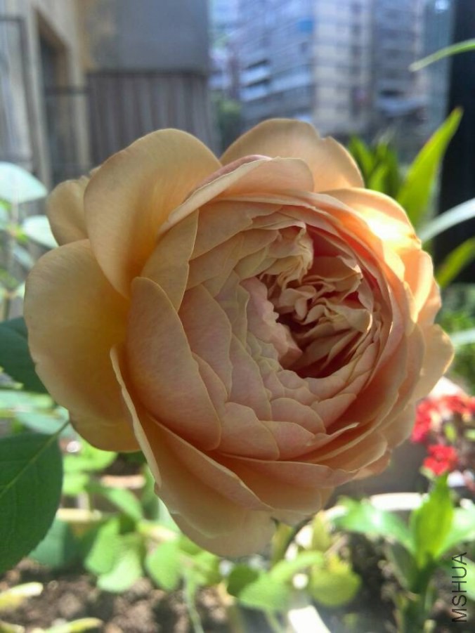 QQͼƬ20140602220845.jpg