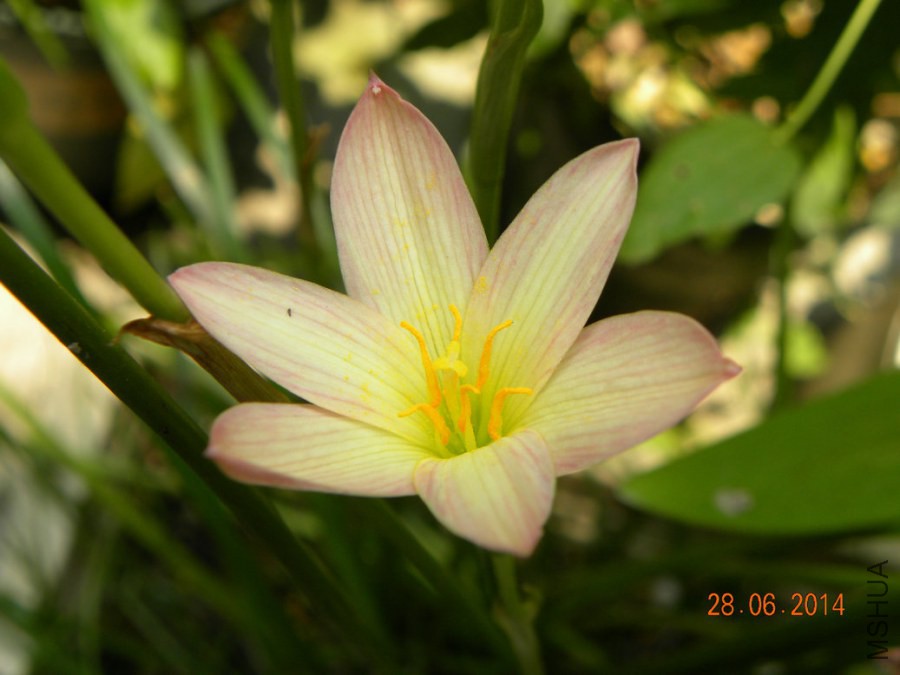 DSCN2461.jpg