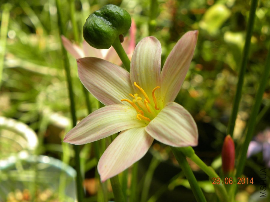 DSCN2463.jpg
