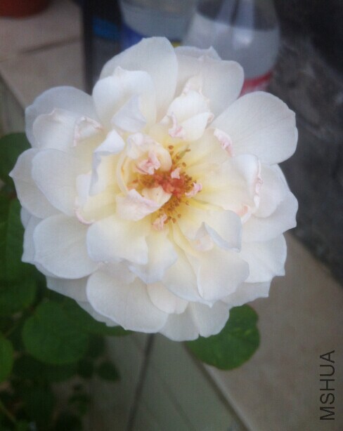 QQͼƬ20140629231047.jpg