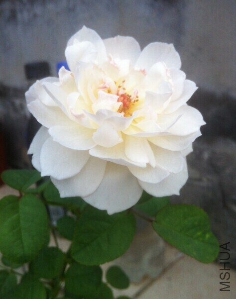 QQͼƬ20140629231014.jpg