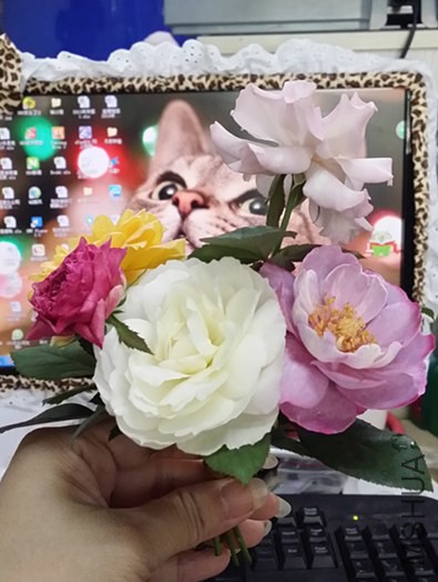 20140630_085010_����.jpg