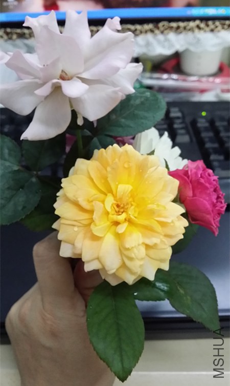 20140630_085027_����.jpg