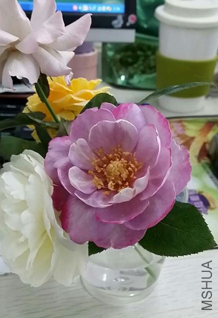 mmexport1404091770877_����.jpg