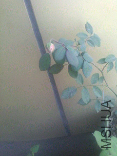 1404094175149.jpg
