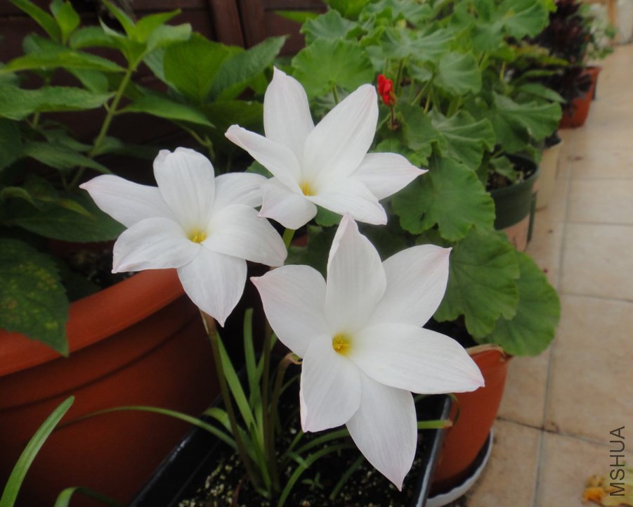 DSC08911.JPG