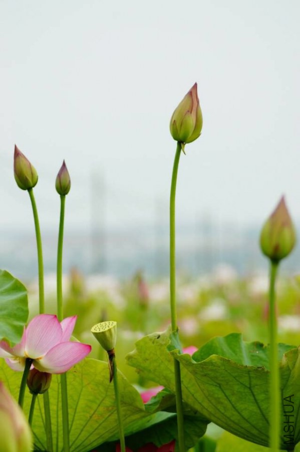QQͼƬ20140630140616.jpg