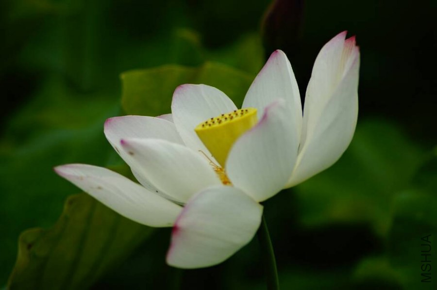 QQͼƬ20140630135821.jpg