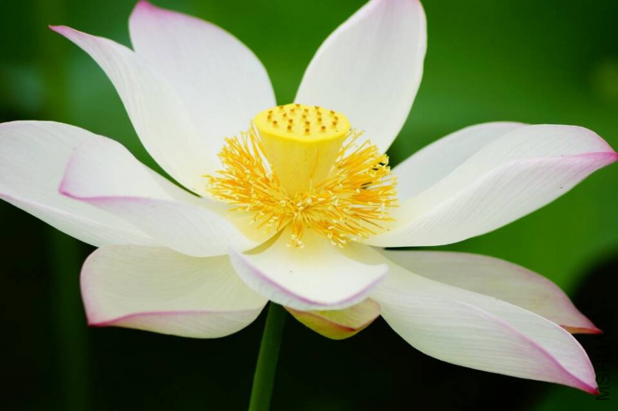 QQͼƬ20140630135831.jpg