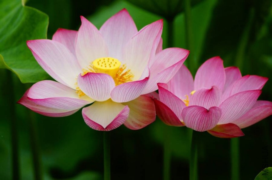 QQͼƬ20140630135751.jpg