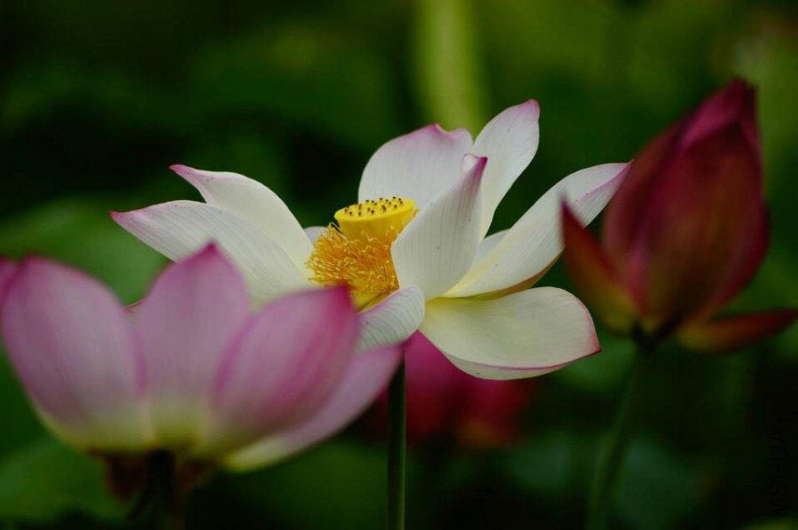 QQͼƬ20140630135814.jpg