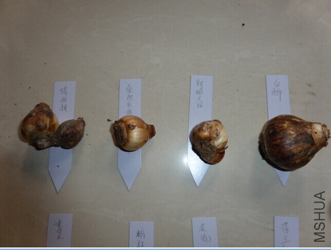 QQͼƬ20140630152028.jpg